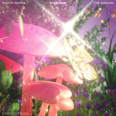 Calvin Harris & The Weeknd Over Now